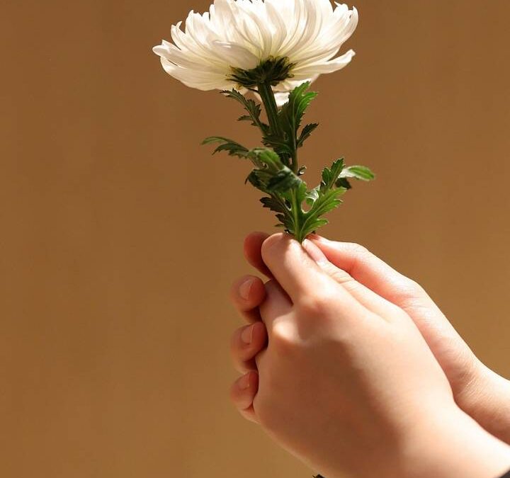 Zakład pogrzebowy Warszawa – pomoc z formalnościami przy organizacji pogrzebu